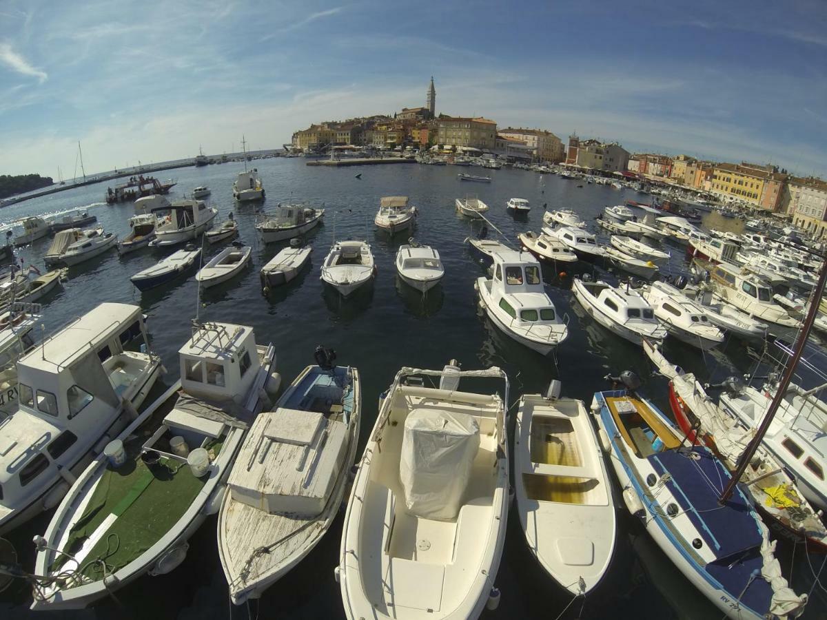 Apartma Jelka Novigrad  Luaran gambar