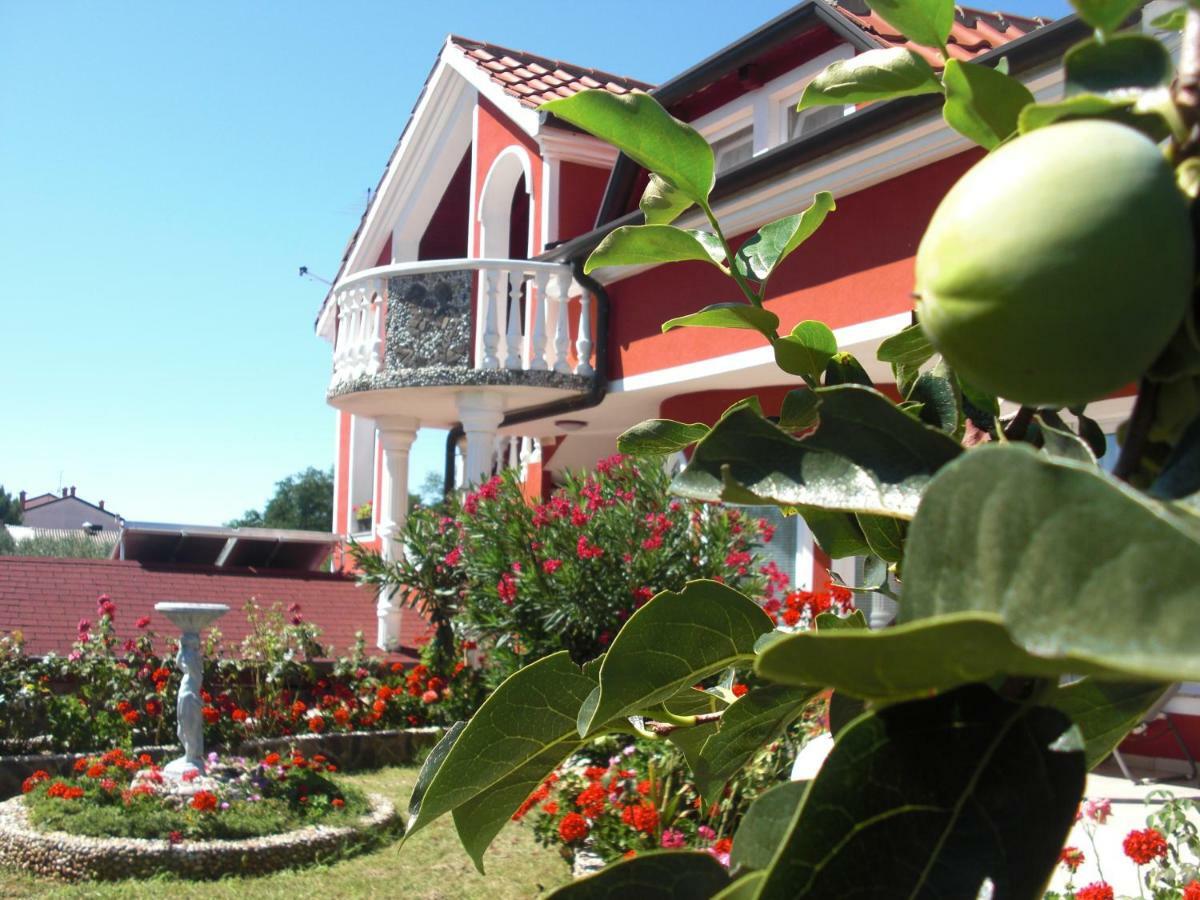 Apartma Jelka Novigrad  Luaran gambar