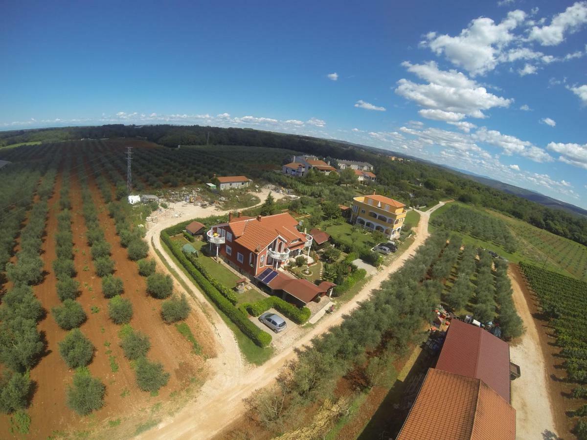 Apartma Jelka Novigrad  Luaran gambar