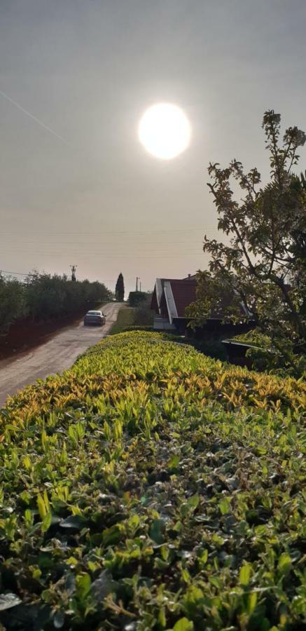 Apartma Jelka Novigrad  Luaran gambar