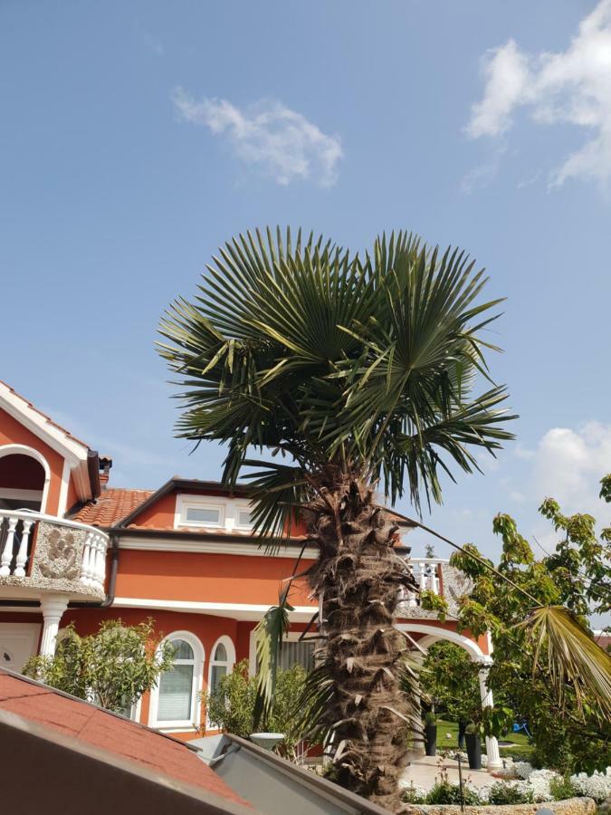 Apartma Jelka Novigrad  Luaran gambar
