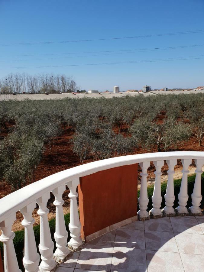 Apartma Jelka Novigrad  Luaran gambar